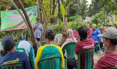 Menciptakan Pelaku Usaha Tani di Ngawi Melalui Program IPDMIP