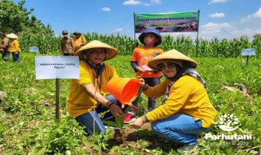 Hari Ibu 2022, IIK Perhutani Ngawi Melaksanakan Gerakan Perempuan Menanam