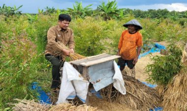 Refleksi Akhir Tahun, TSW: Pemuda Punya Peran Penting Kemajuan Masa Depan Bangsa