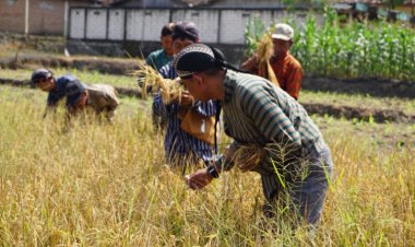 Berbagai Kegiatan yang Digelar DKPP Ngawi di Hari Krida Pertanian