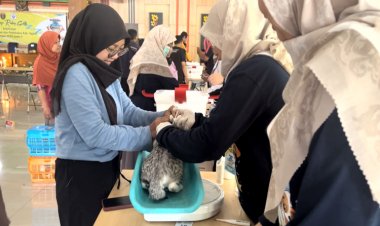 Ratusan Hewan di Ngawi Disuntik Vaksin, Ada Apa?