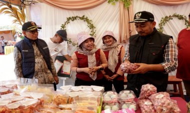 Bumdesma DAPM Dinilai Tingkatkan Ekonomi Masyarakat Menuju Desa Mandiri