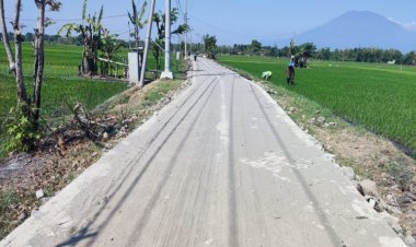 Pemdes Gelung Kebut Pembangunan Jalan Melalui Pavingisasi