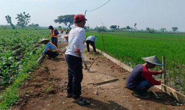 Manfaatkan Anggaran DBHCHT, DKPP Ngawi Bangun Jalan Pertanian