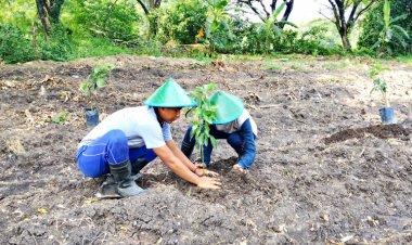 Lapas Ngawi Ajak WBP Wujudkan Ketahanan Pangan dengan Bertani