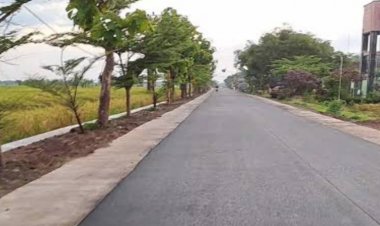 Mudik 2026 Warga Ngawi Puji Pemkab Ngawi Jalan Kabupaten Mulus Bikin Nyaman