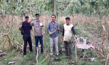Perhutani Gelar Pemanenan Kayu Putih di BKPH Sonde KPH Ngawi