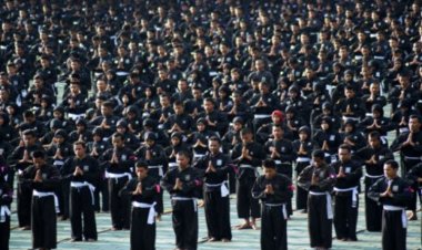 Tiap Tahun Lahirkan Enam Ribu Pendekar, Publik Khawatir PSHT Ngawi Bak Macan Tidur